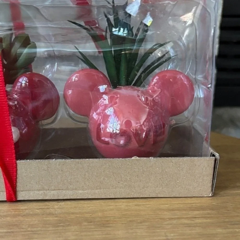 Celebrate Together Valentines Day Set of Three Mickey Mouse Planters w/Succulent
